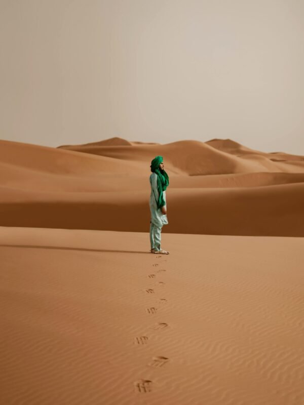 BEST MOROCCO TRAVE AGENCY - Super Morocco Tours